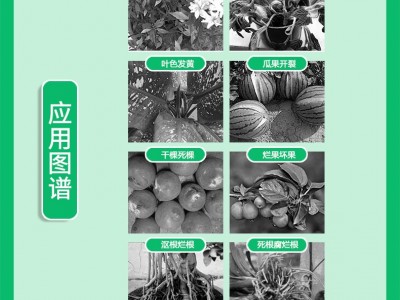 水溶肥冲施肥桶装包邮高钾高钙农用生根壮苗膨果肥甲壳素海藻精钾图2
