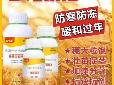 麦黄金小麦叶面肥返青促分蘖抗倒伏快速灌浆抗病抗旱增产正品包邮图3