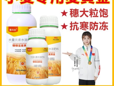 麦黄金小麦叶面肥返青促分蘖抗倒伏快速灌浆抗病抗旱增产正品包邮图4