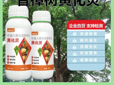 香樟树病全管防治黄化黄龙病烟煤病炭疽病白粉病锈铁香樟树营养液图3