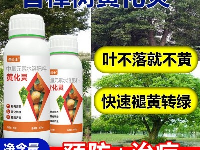 香樟树病全管防治黄化黄龙病烟煤病炭疽病白粉病锈铁香樟树营养液图4