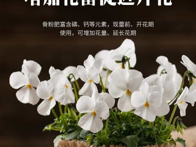 【雷尔活水】特制园艺骨粉植物花卉园艺盆栽通用型促花养花追肥开图2