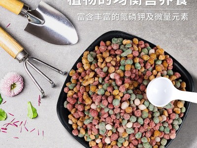 花卉绿植通用缓释肥250g/瓶花肥多肉颗粒控释肥复合肥料 一件代发图2