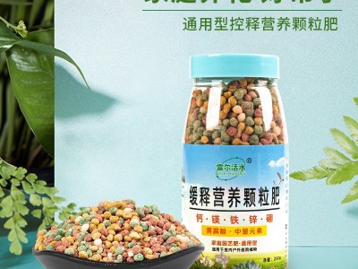 花卉绿植通用缓释肥250g/瓶花肥多肉颗粒控释肥复合肥料 一件代发图4