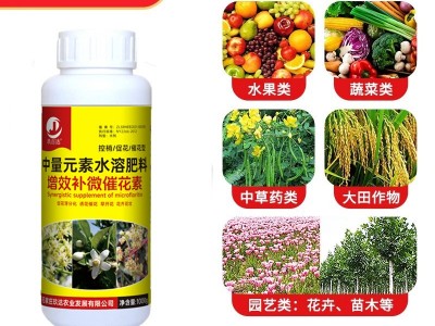 授粉坐果精果树控梢促花素座果灵君子兰开花素催花剂长寿花叶面肥图4