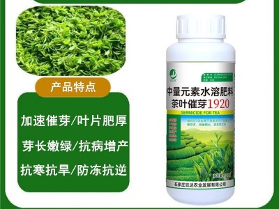 茶叶专用叶面肥 催芽剂 茶树催芽素生长素崔芽剂壮芽素非复合肥料图2