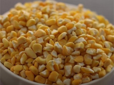 50斤厂家批发东北粘大碴子黄糯玉米黏苞米粗粮杂粮河北甘肃粘茬子图4