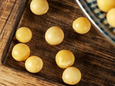芽豆小金黄690 珍珠粒芽豆批发 生豆芽用产地货源散装批发97斤图3