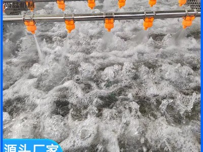 食品包装袋去油污清洗机水果清洗风干流水线农产品气泡清 洗设备图2