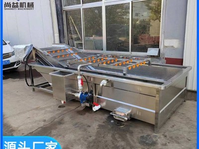 食品包装袋去油污清洗机水果清洗风干流水线农产品气泡清 洗设备图3
