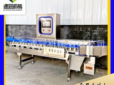 全自动鲅鱼重量分选机 八爪鱿鱼足乌贼规格分拣机 北极夏夷贝等级图4
