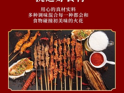 烧烤料商用烧烤蘸料家用奥尔良烤翅腌料烧烤调味料袋装烧烤调料图3
