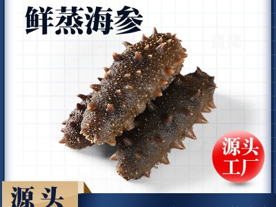 即食鲜蒸海参烟台蓬莱水产单只独立装批发一手货源 包邮海参送礼图2