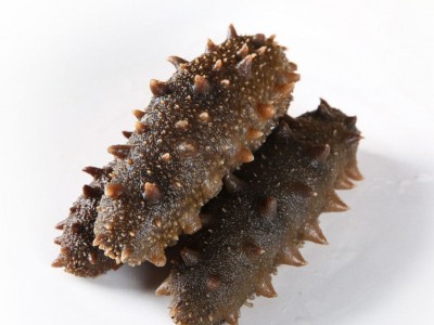 即食鲜蒸海参烟台蓬莱水产单只独立装批发一手货源 包邮海参送礼图5