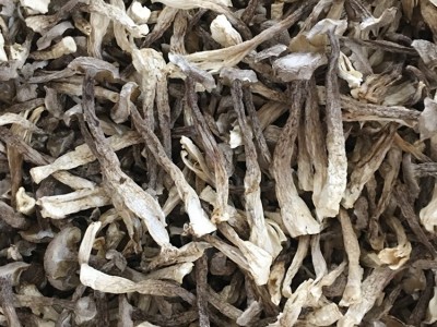 鹿茸菇鹿茸菌干货500g土特产农副产品食用菌酒店食材批发 产地直供图2