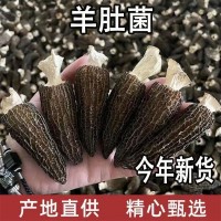 新货云南特级羊肚菌干货精选正品羊肚菇煲汤滋补食材农家特产包邮
