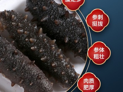 【海参工厂】大连刺参鲜食海参即食非干货冷冻海鲜大礼包厂家直发图3