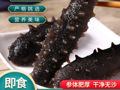 【海参工厂】大连刺参鲜食海参即食非干货冷冻海鲜大礼包厂家直发图2