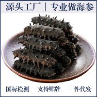 【海参工厂】深海淡干海参野生海参非即食海参辽参海参干货礼盒装