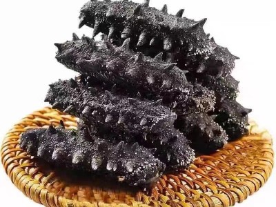 海参厂家批发大连海参辽刺参口感劲道鲜食海参大连特产图5
