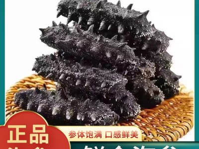 海参厂家批发大连海参辽刺参口感劲道鲜食海参大连特产图2