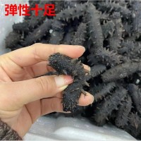 海参厂家批发大连海参辽刺参口感劲道鲜食海参大连特产
