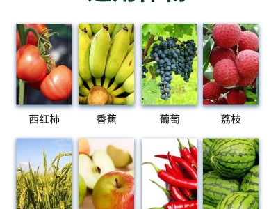 果蔬农作物复合肥高效硫酸钾型复合肥农作物复合肥通用肥厂家现货图3