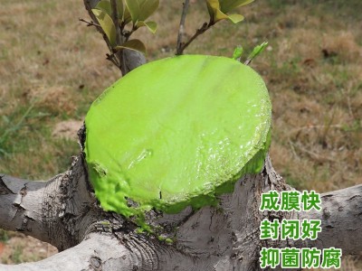 树木伤口愈合剂植物切口涂抹剂嫁接刀口涂补剂愈伤膏果树 修剪愈合图3