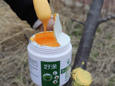 树木伤口愈合剂植物切口涂抹剂嫁接刀口涂补剂愈伤膏果树 修剪愈合图2