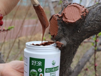 树木伤口愈合剂植物切口涂抹剂嫁接刀口涂补剂愈伤膏果树 修剪愈合图4