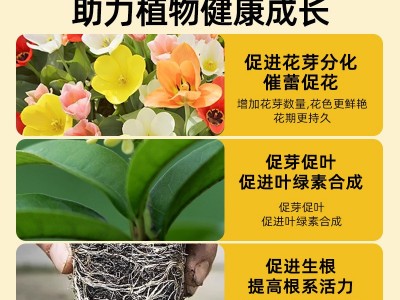 快速开花粉茶花桂花三角梅茉莉爆花通用壮苗促花园艺花 肥料厂家图5