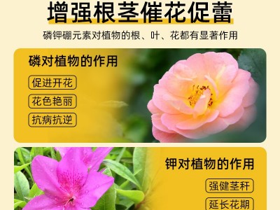 快速开花粉茶花桂花三角梅茉莉爆花通用壮苗促花园艺花 肥料厂家图2