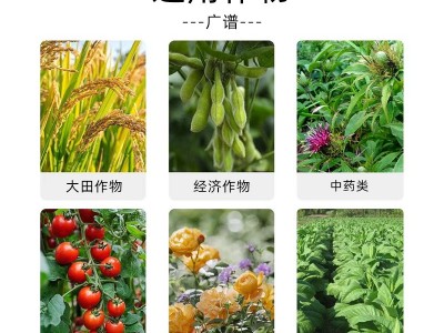 爆生根壮苗发根剂育苗壮根促生长爆根生根肥含氨基酸水溶 肥20kg图4