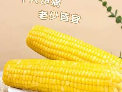 黄糯玉米 真空包装花玉米甜糯玉米8根装 黑糯玉米可代发资质齐全图2