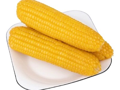 东北黄糯玉米十根 粘糯玉米真空包装整箱玉米棒加热即食代发批发图4