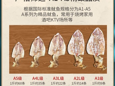 鱿鱼干烧烤淡干鱿鱼专用芥末海鲜干货大尤鱼KTV特产北海酒吧批发图2