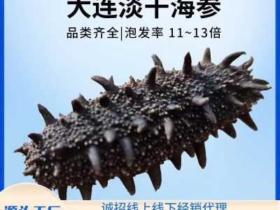 大连底播淡干海参50g 非即食家用散装海参干货 厂家批发直播代发图1