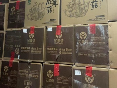 直销如意情鹿茸菇干货净重10斤装益品如意吉源头鹿茸菌如意康餐饮图4