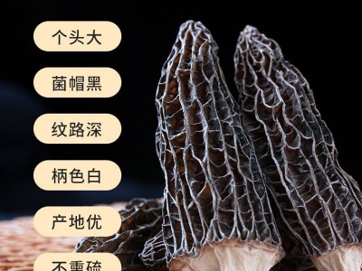 古田食用菌精选头茬优质羊肚菌干货10g大小包装规格各类平台代发图2
