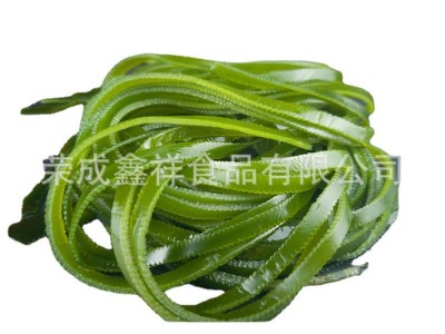 整箱批发盐渍半干海带丝 供应跑江湖市场烘干海带丝 盐渍海带丝图5