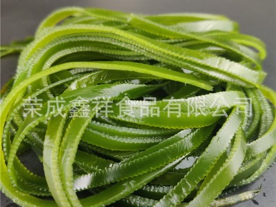 整箱批发盐渍半干海带丝 供应跑江湖市场烘干海带丝 盐渍海带丝图3