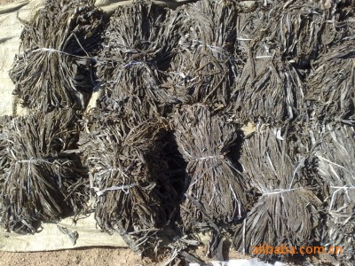 供应无沙干海带丝 加工长丝 质量好丝 干丝图2