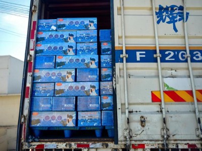 精品海带板 商超优选全国发货一箱10斤(20袋）图4