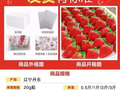 丹东莓99牛奶新鲜3斤奶油红颜九九大水果现摘半斤批发价跨境图2