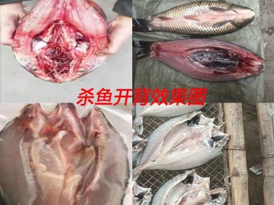 商用杀鱼机 全自动杀鱼开背开肚子一体机 脱鱼鳞开背机生产厂家图3