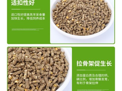 羊饲料 羔羊精补饲料育肥羊饲料大羊料精补料羊全价料厂家直供图5