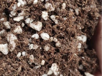 蓝莓栽培基质蓝莓专用土酸性种植营养土壤蓝莓绣球山茶酸性土栽培图4