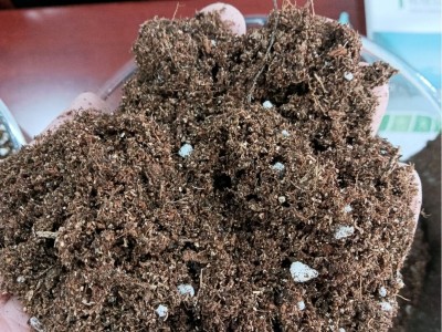 草莓专用种植土栽培基质草莓盆栽大棚种植土椰糠土泥炭土营养土图3