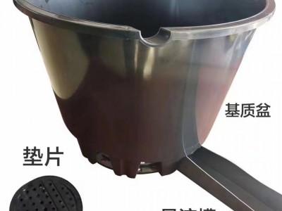 欧勃亚25升蓝莓盆蓝莓种植盆蓝莓种植箱蓝莓种植桶加仑盆厂家批发图4