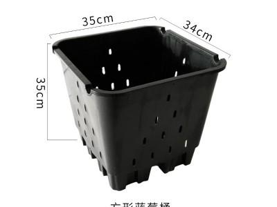 欧勃亚25升蓝莓盆蓝莓种植盆蓝莓种植箱蓝莓种植桶加仑盆厂家批发图2